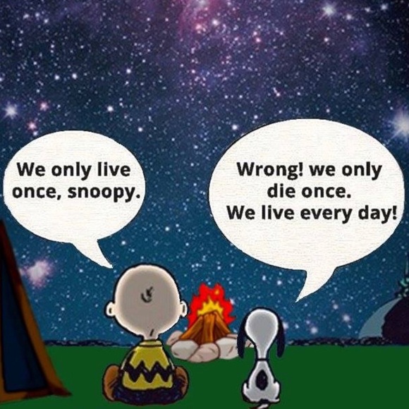 Meet your Posher, Shannon - Picture 5 of 16